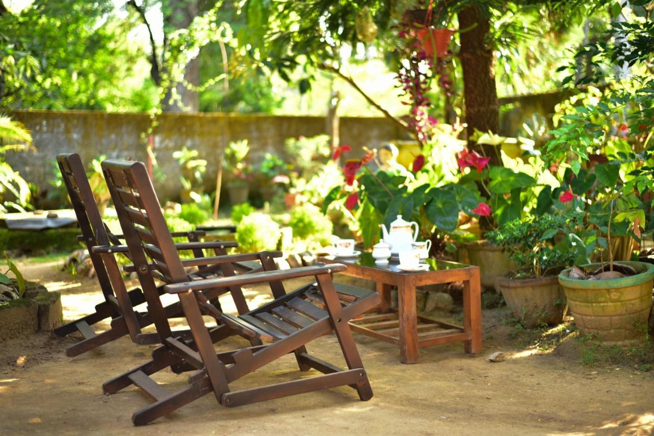 Relax Guest House Dambulla Zewnętrze zdjęcie